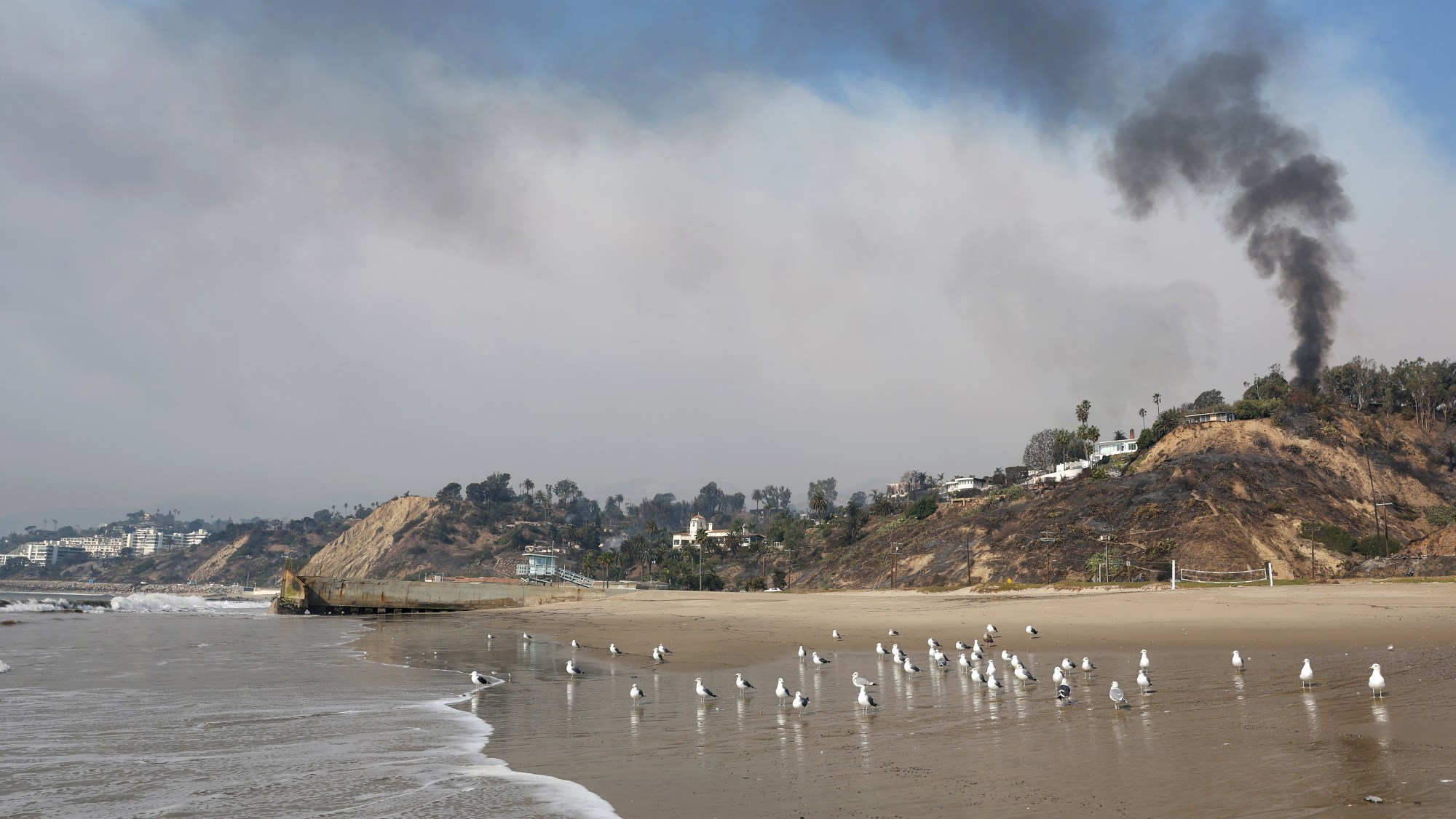 A view of the Pacific Palisades fire.